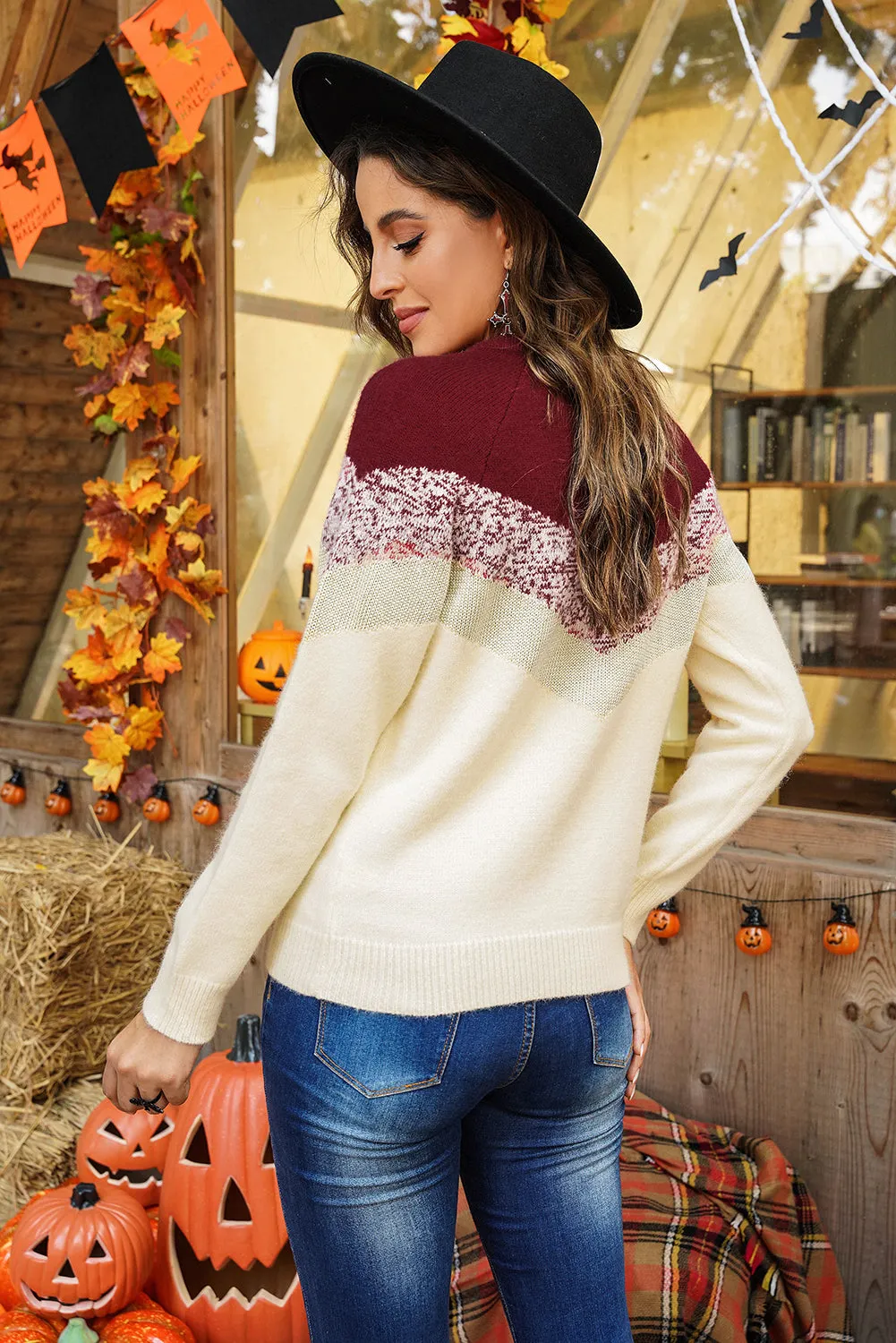 Women Round Neck V Stripe Pattern Short Sweater